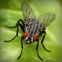 /album/proyecto-innovador-tecnologico/photolia-a01-jpg/