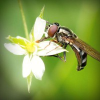 /album/proyecto-innovador-tecnologico/photolia-a02-jpg/