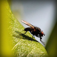 /album/proyecto-innovador-tecnologico/photolia-a04-jpg/