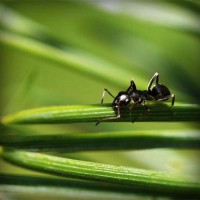 /album/proyecto-innovador-tecnologico/photolia-a05-jpg/