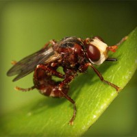 /album/proyecto-innovador-tecnologico/photolia-a06-jpg/