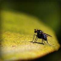 /album/proyecto-innovador-tecnologico/photolia-a07-jpg/