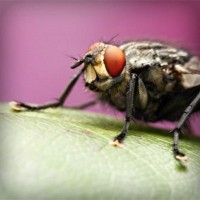 /album/proyecto-innovador-tecnologico/photolia-a08-jpg/